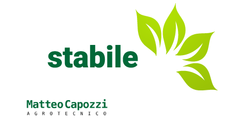 Verdestabile logo
